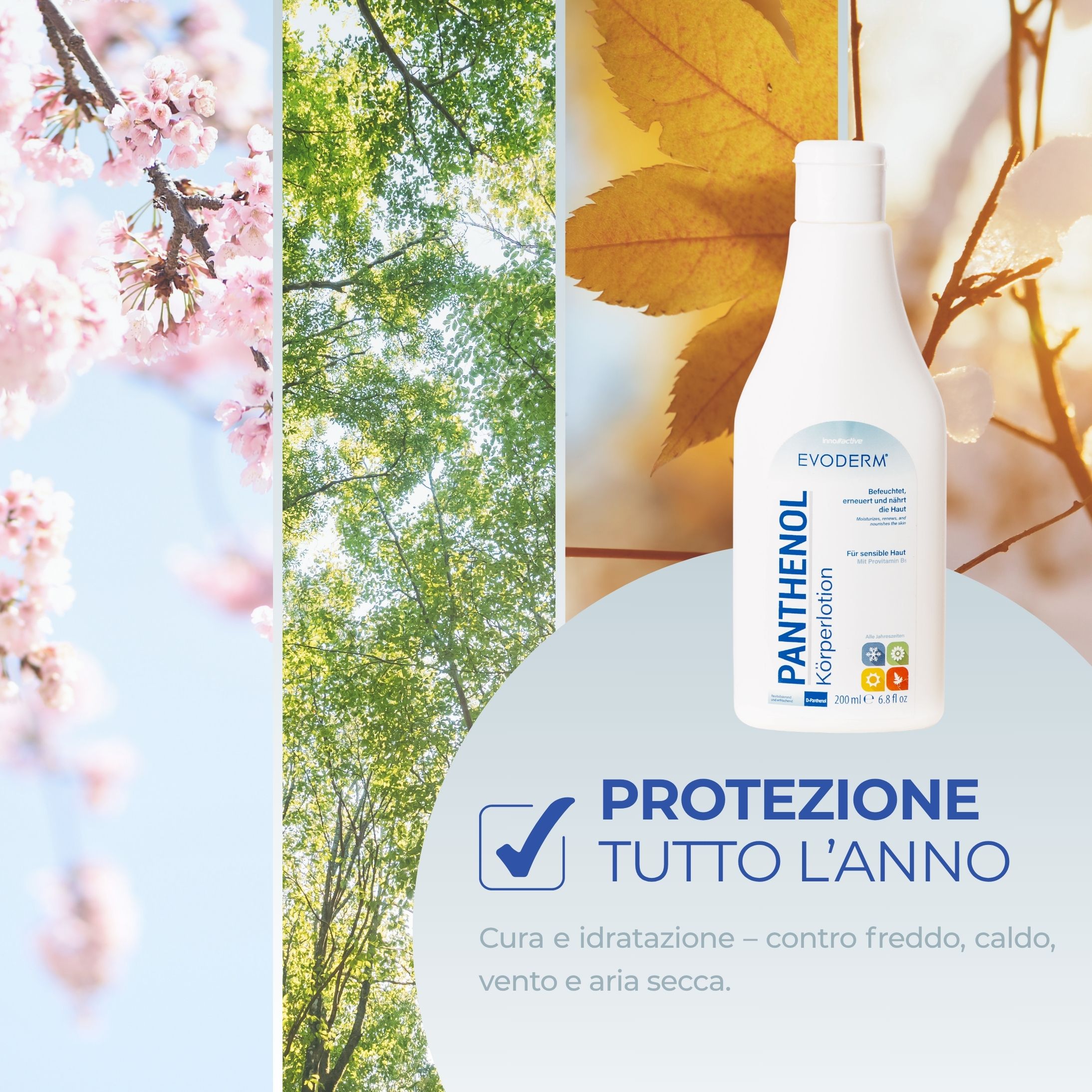 EVODERM Panthenol lozione corpo. Flacone davanti a uno scenario naturale. Testo: Protezione tutto l'anno. Cura e idratazione.