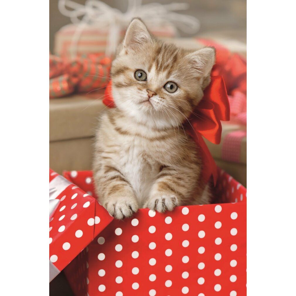 Puzzle di trefl con animali carini: 54 pezzi