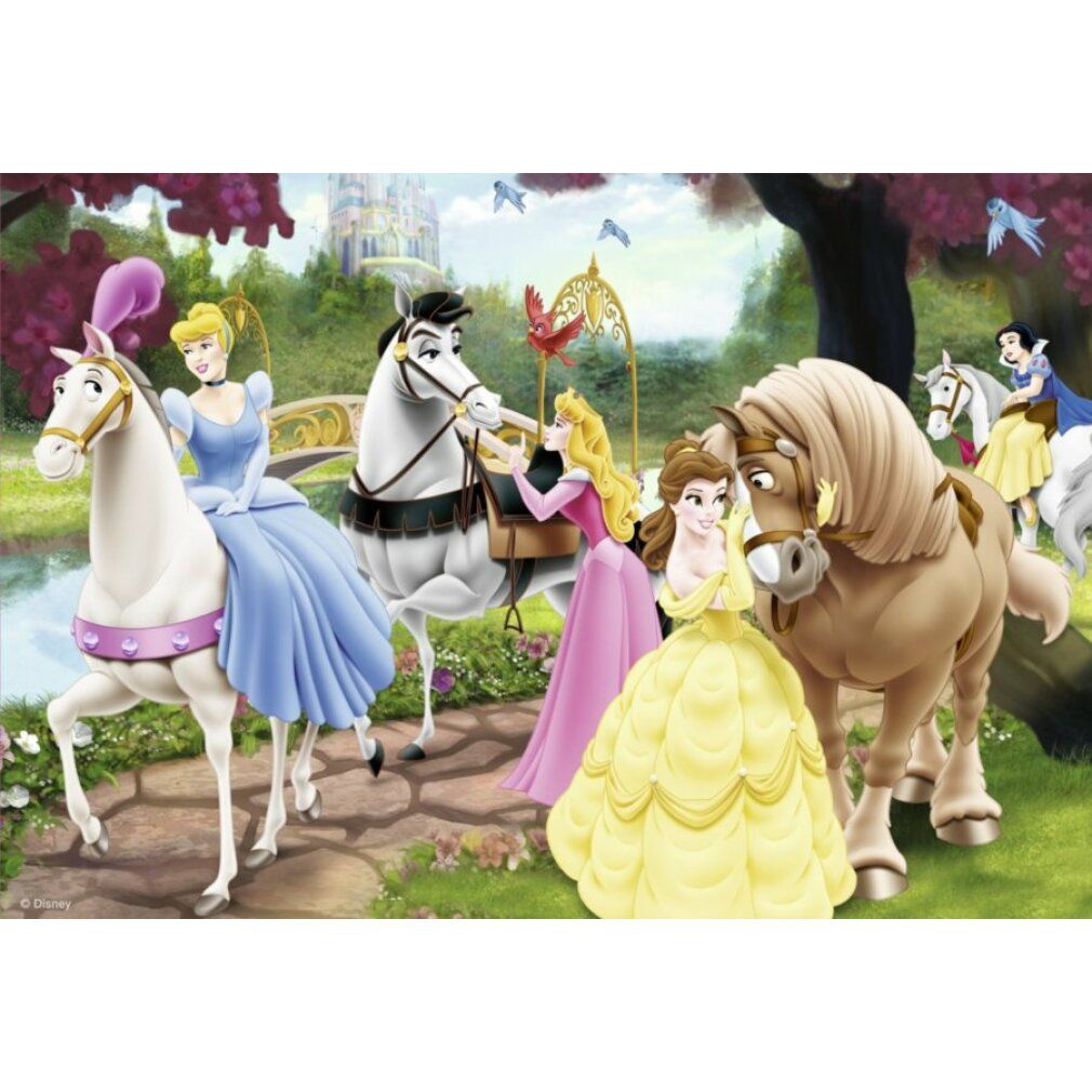 Illustrazione delle Principesse Disney. Principesse a cavallo, in giardino. Castello sullo sfondo. Rappresentazione colorata.