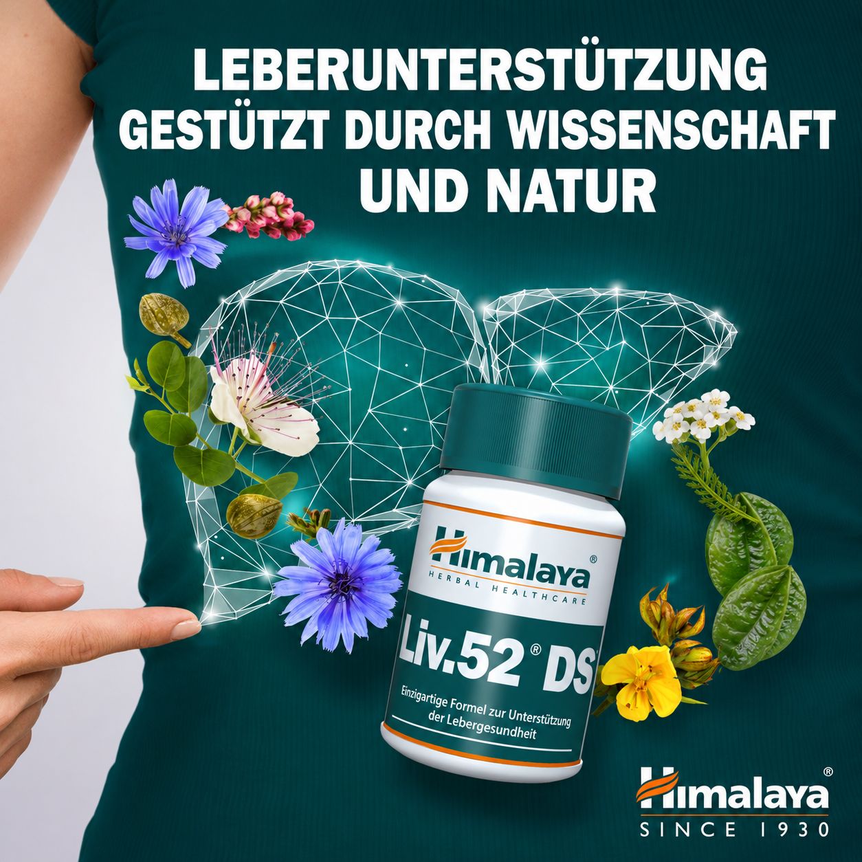 Flacone di compresse Himalaya Liv.52 DS con simbolo stilizzato del fegato ed erbe.