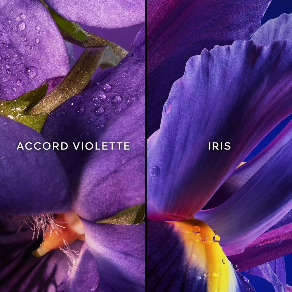 Due primi piani di petali viola. Testo: "ACCORD VIOLETTE" e "IRIS". Gocce d'acqua sui petali.