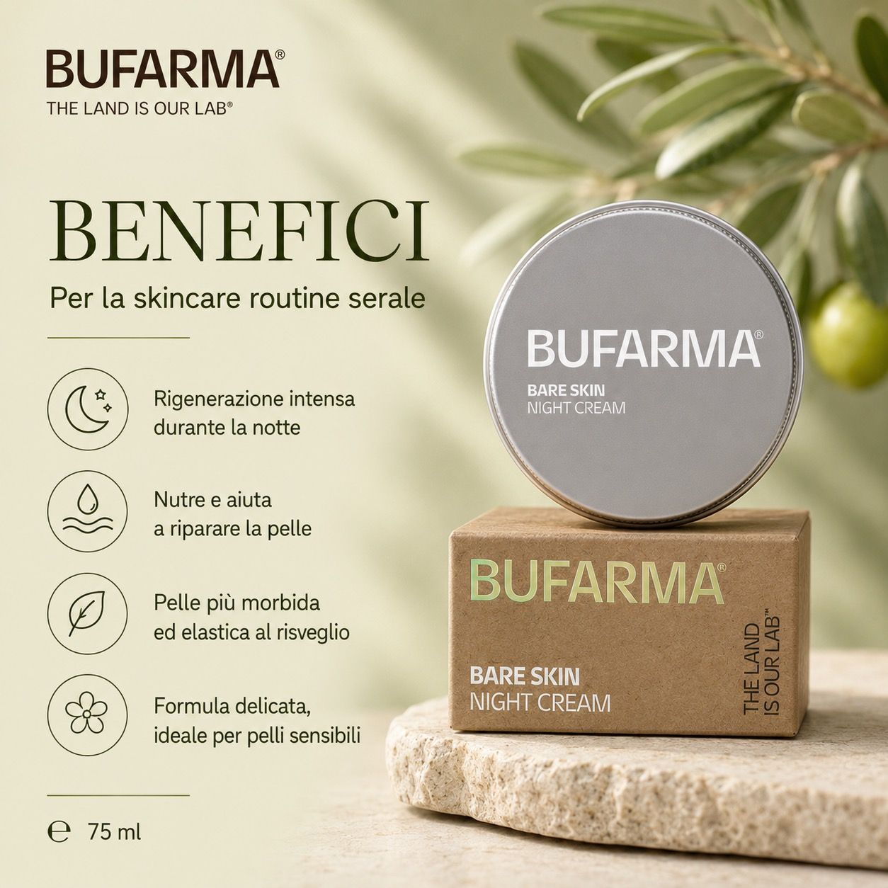 Prodotto BUFARMA 'Bare Skin Night Cream' su scatola. Testo: 'BENEFICI'. Sfondo: ramo d'ulivo.