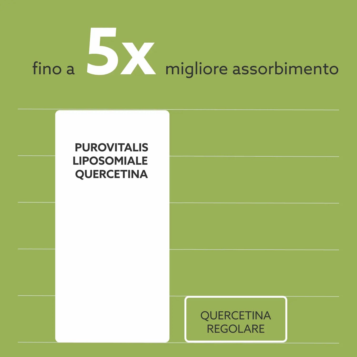 Grafico: Purovitalis Quercetina liposomiale, fino a 5 volte migliore assorbimento rispetto alla quercetina regolare.