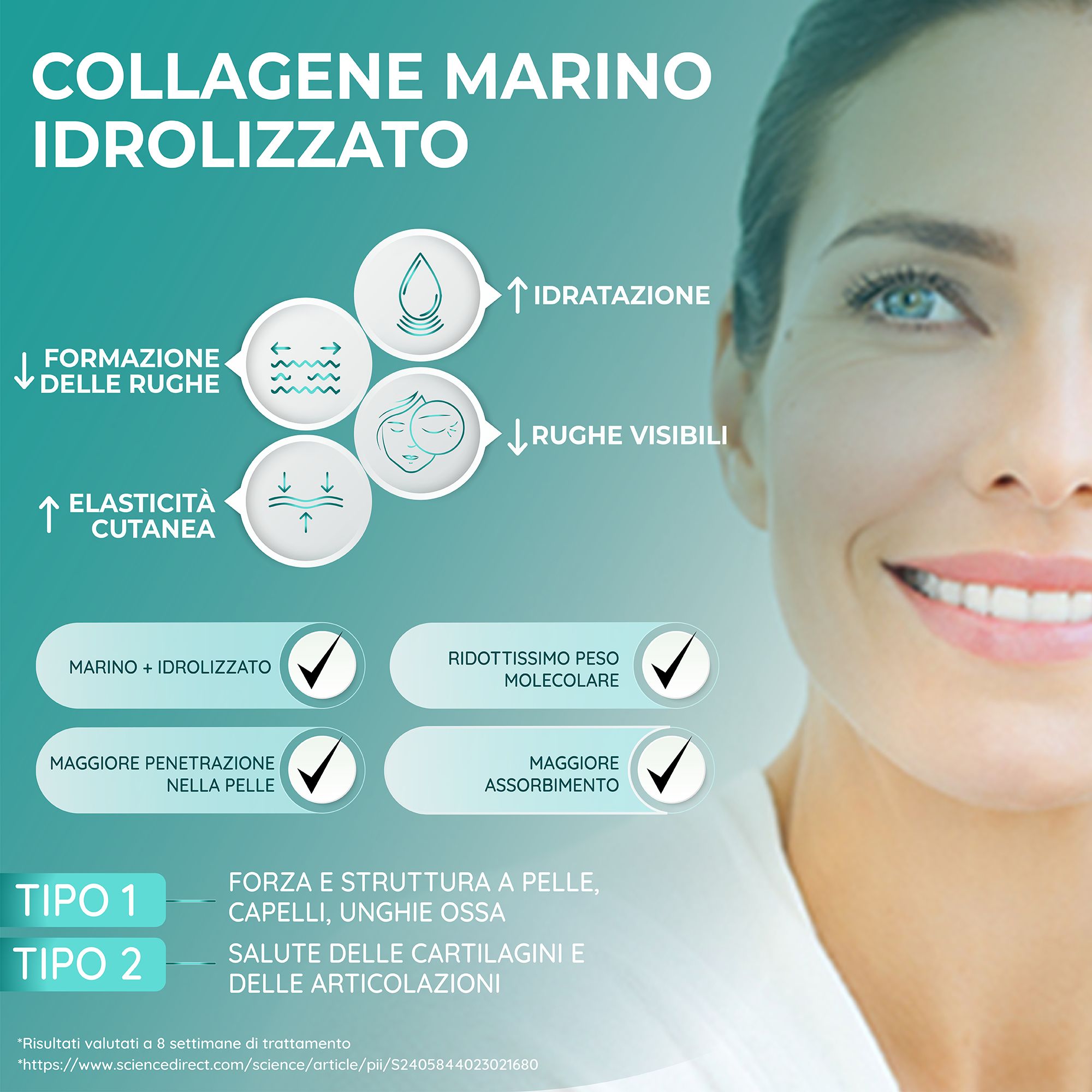 Grafico con testo sul collagene. Temi: rughe, elasticità, idratazione, rughe visibili. Marino + idrolizzato, basso peso molecolare.