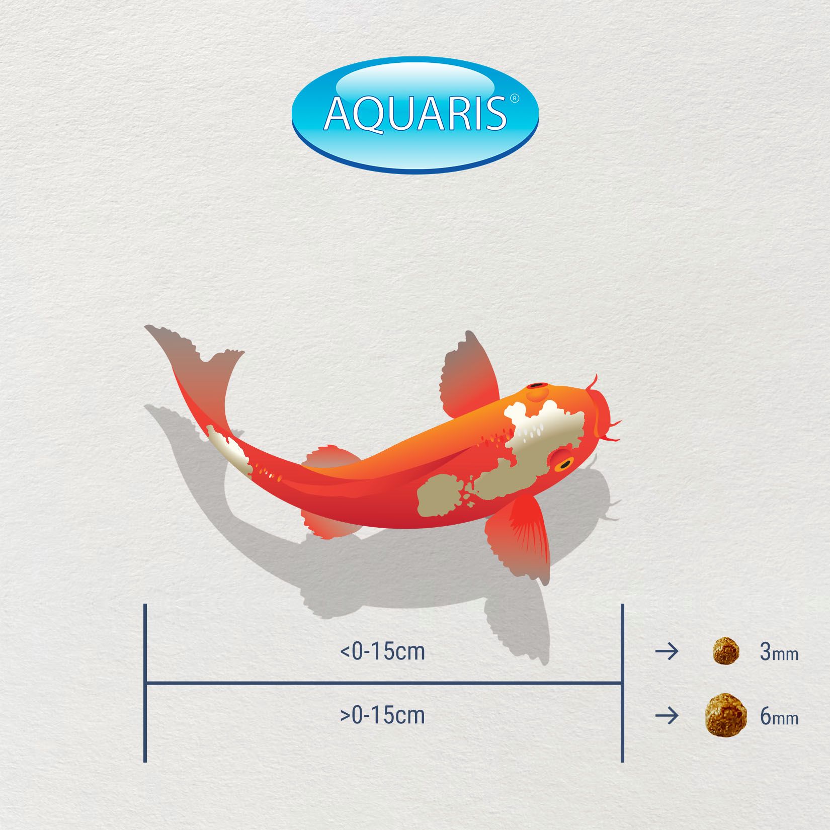 Illustrazione di un pesce Koi accanto a una rappresentazione di mangime per pesci da 3 mm e 6 mm. Logo AQUARIS.