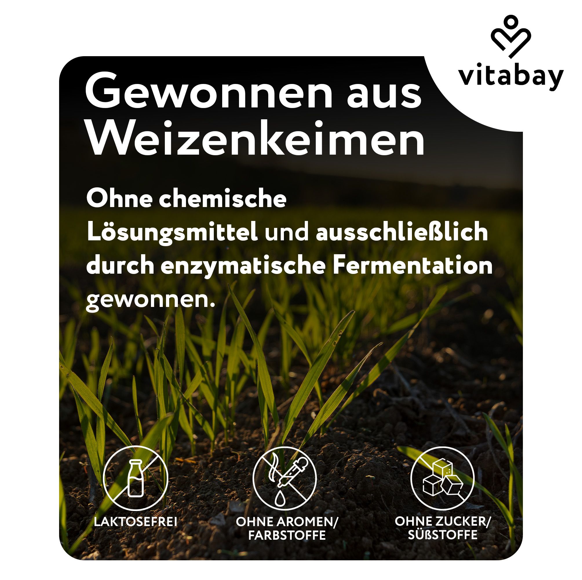 Testo su sfondo verde: Estratto da germe di grano. Senza solventi chimici. Senza lattosio, aromi/coloranti, zuccheri/dolcificanti.