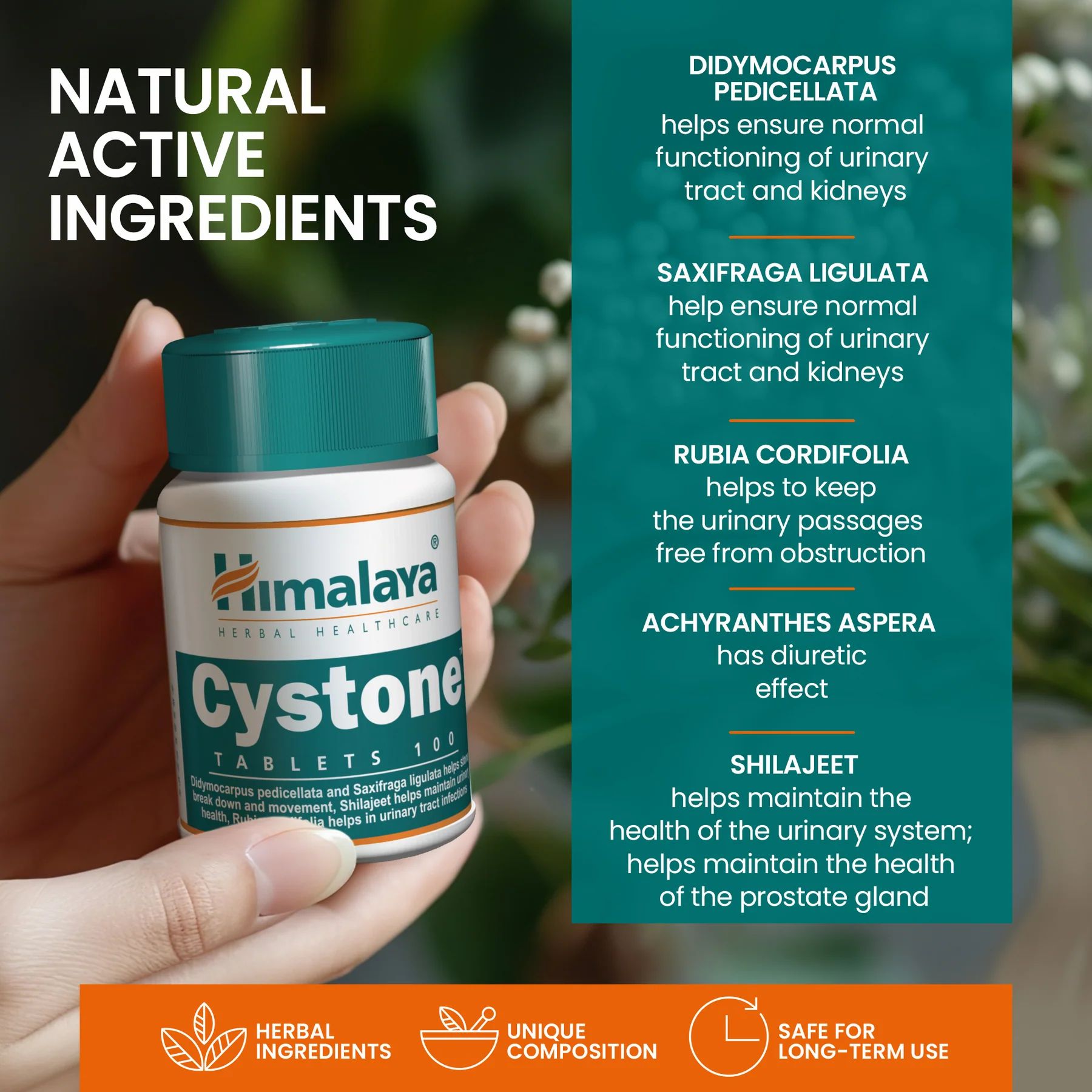 Himalaya Cystone compresse in mano. Testo: Ingredienti attivi naturali. Ingredienti a base di erbe. Composizione unica.