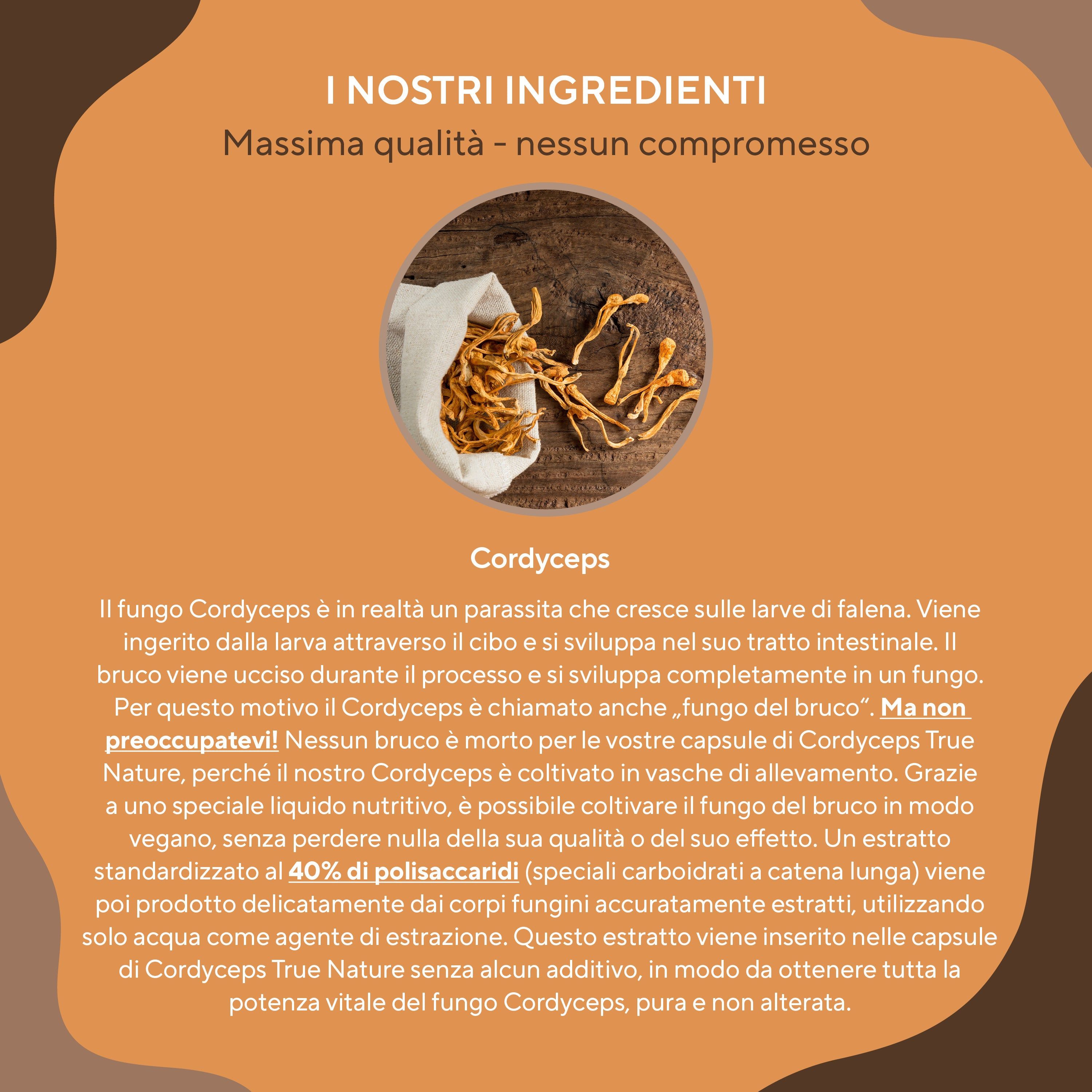 TRUE NATURE® Cordyceps Sinensis Capsule