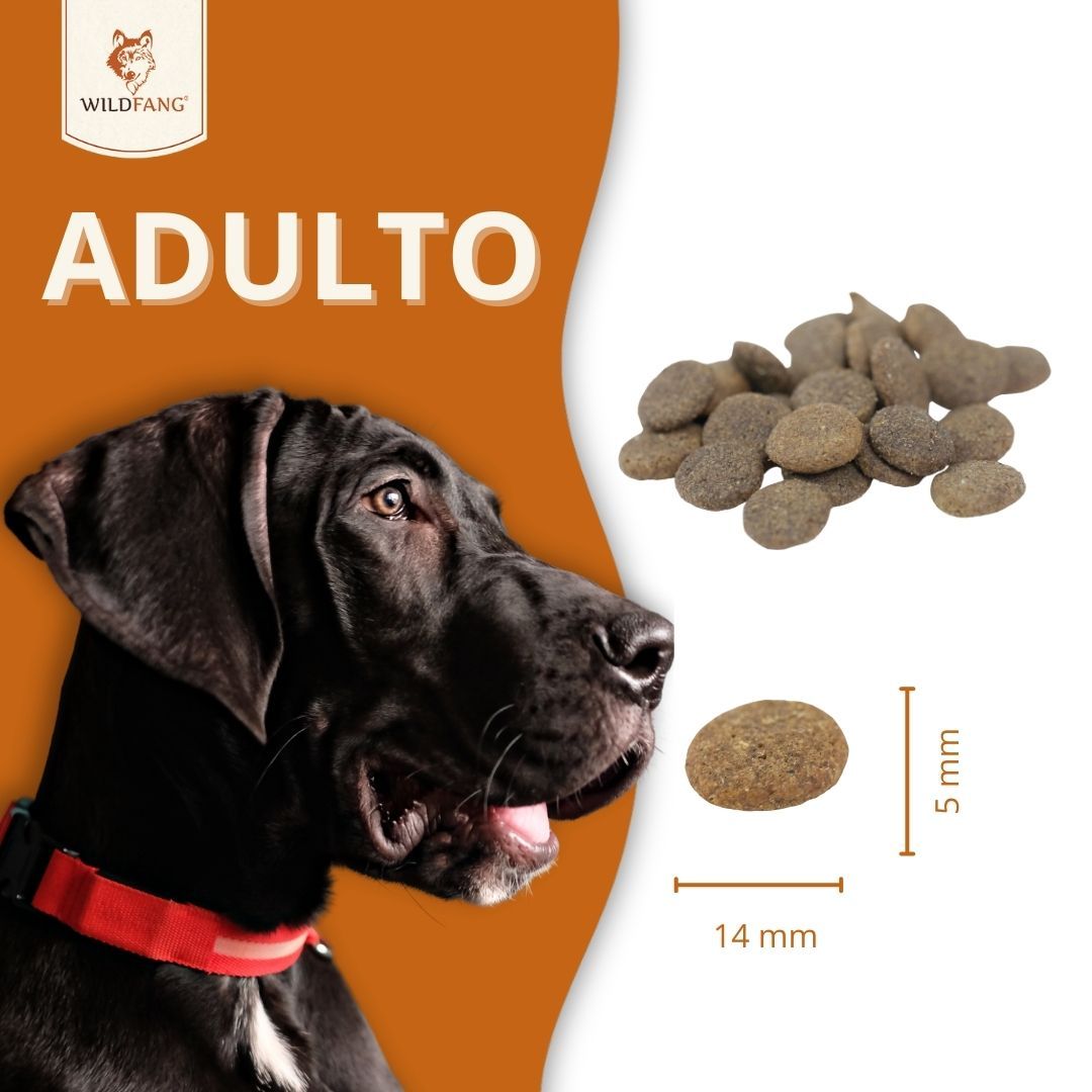 Crocchette di cibo secco accanto a un cane. Testo: Adulto. Le crocchette misurano 14 mm x 5 mm.
