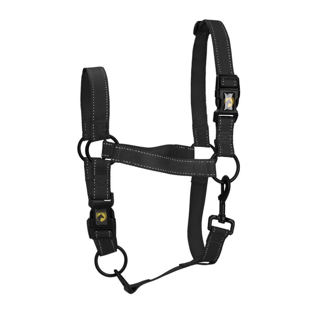 Cavezza nera per cavallo con cuciture argentate e fibbie. Anelli e moschettone in metallo.