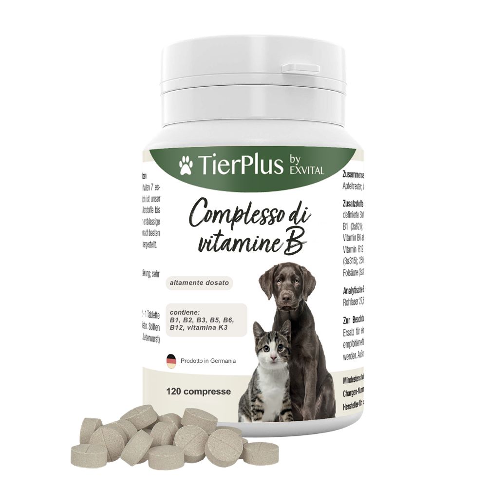 EXVital Compresse di Vitamine B. Flacone bianco con 120 compresse. Per cani e gatti. TierPlus by EXVital.