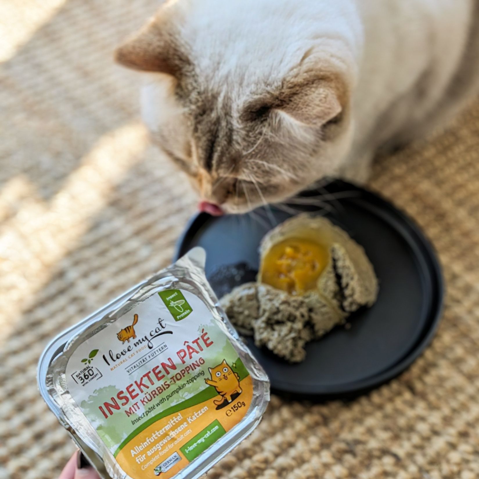 I love my cat Paté di insetti con topping di zucca