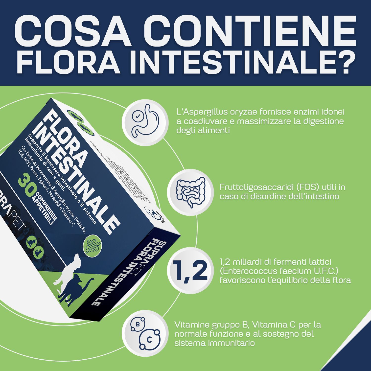 Infografica con confezione del prodotto e ingredienti. Contiene informazioni su enzimi, prebiotici e vitamine.