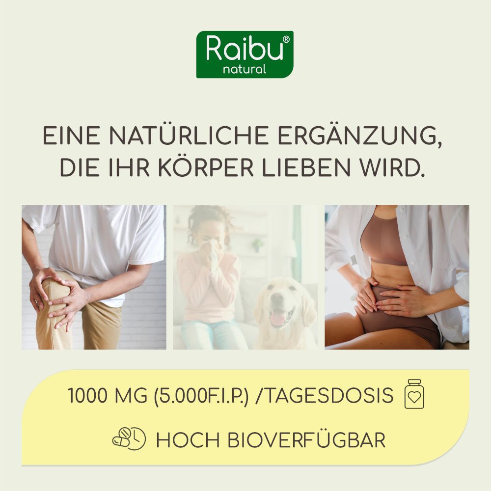 RAIBU Bromelina Enzima Digestivo 2500 GDU