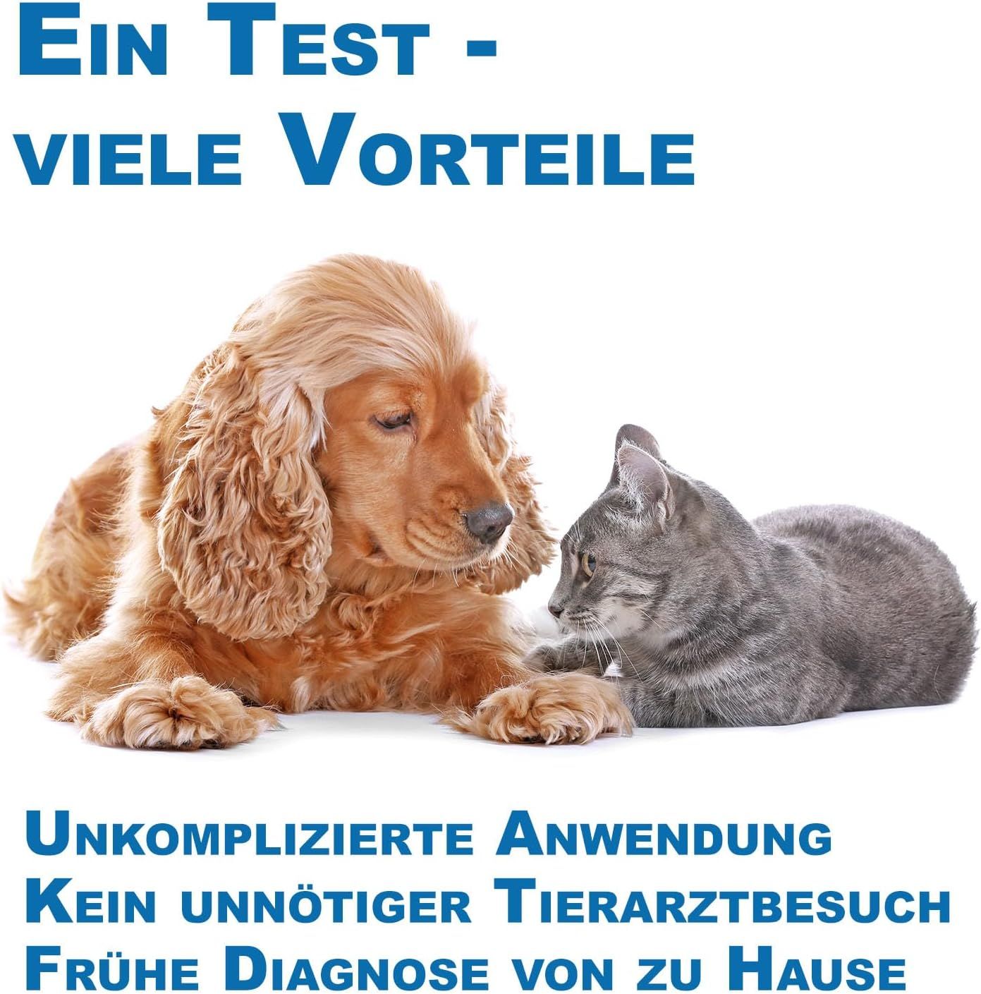 Cane e gatto vicini. Testo: Uso semplice, niente visita veterinaria, diagnosi precoce. Sfondo bianco.