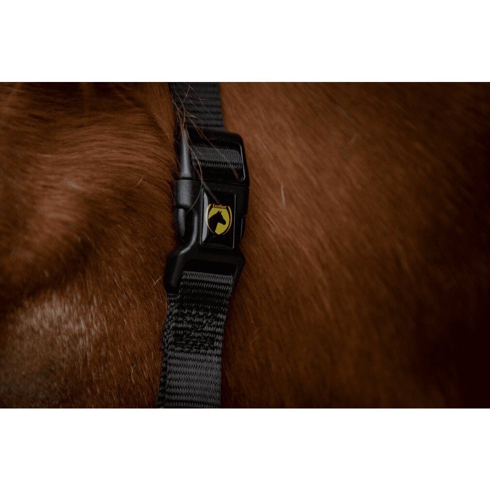 Chiusura nera del cavezza con logo giallo. Fissato a un cavallo marrone. Primo piano.