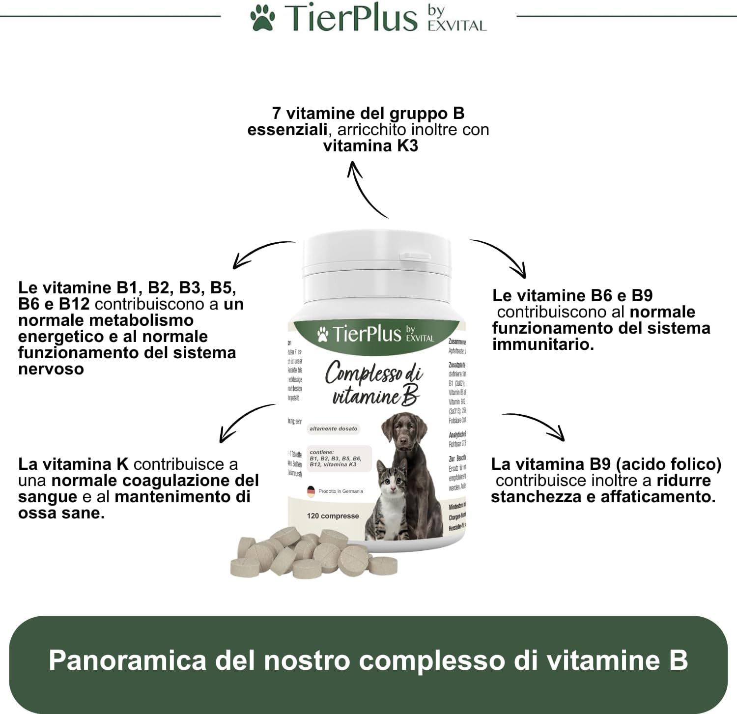 EXVital Compresse di Vitamine B. Flacone bianco con 120 compresse. Per cani e gatti. TierPlus by EXVital.
