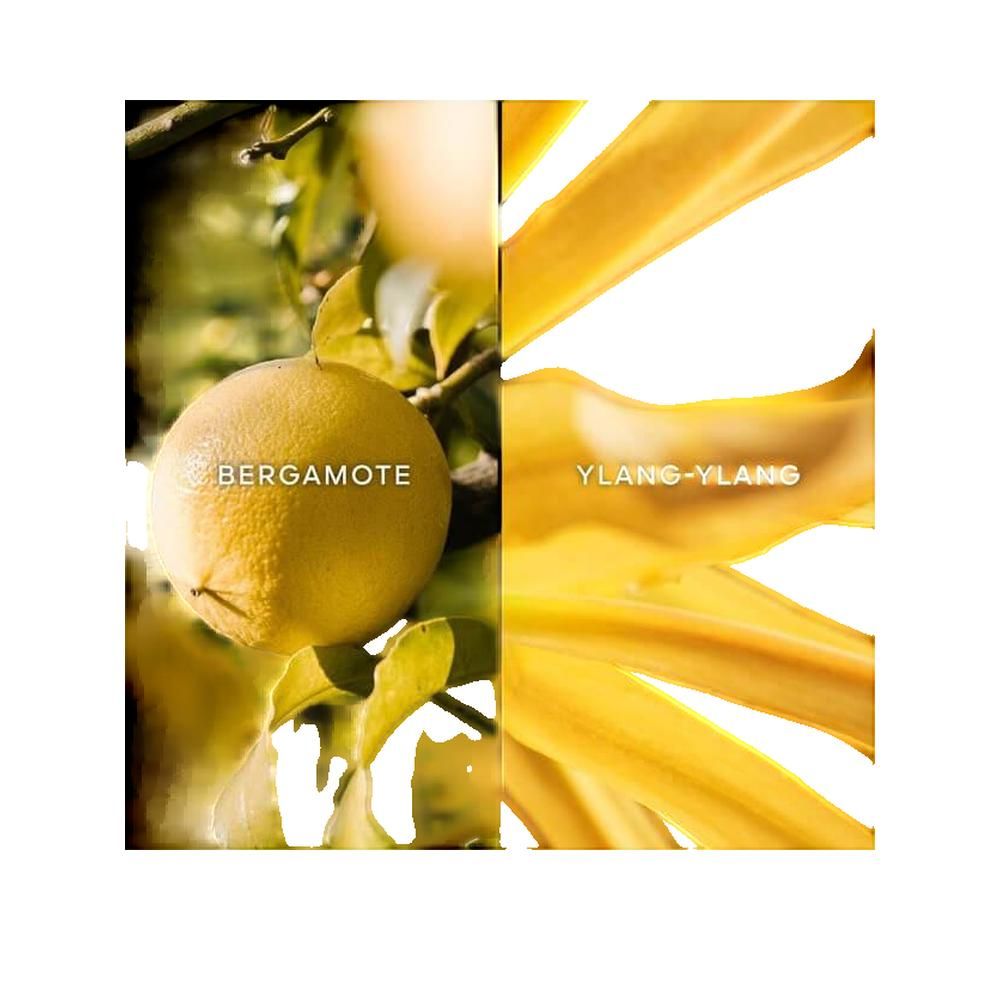 Immagine divisa in due: a sinistra, un bergamotto; a destra, ylang-ylang. Entrambi sono etichettati con testo.