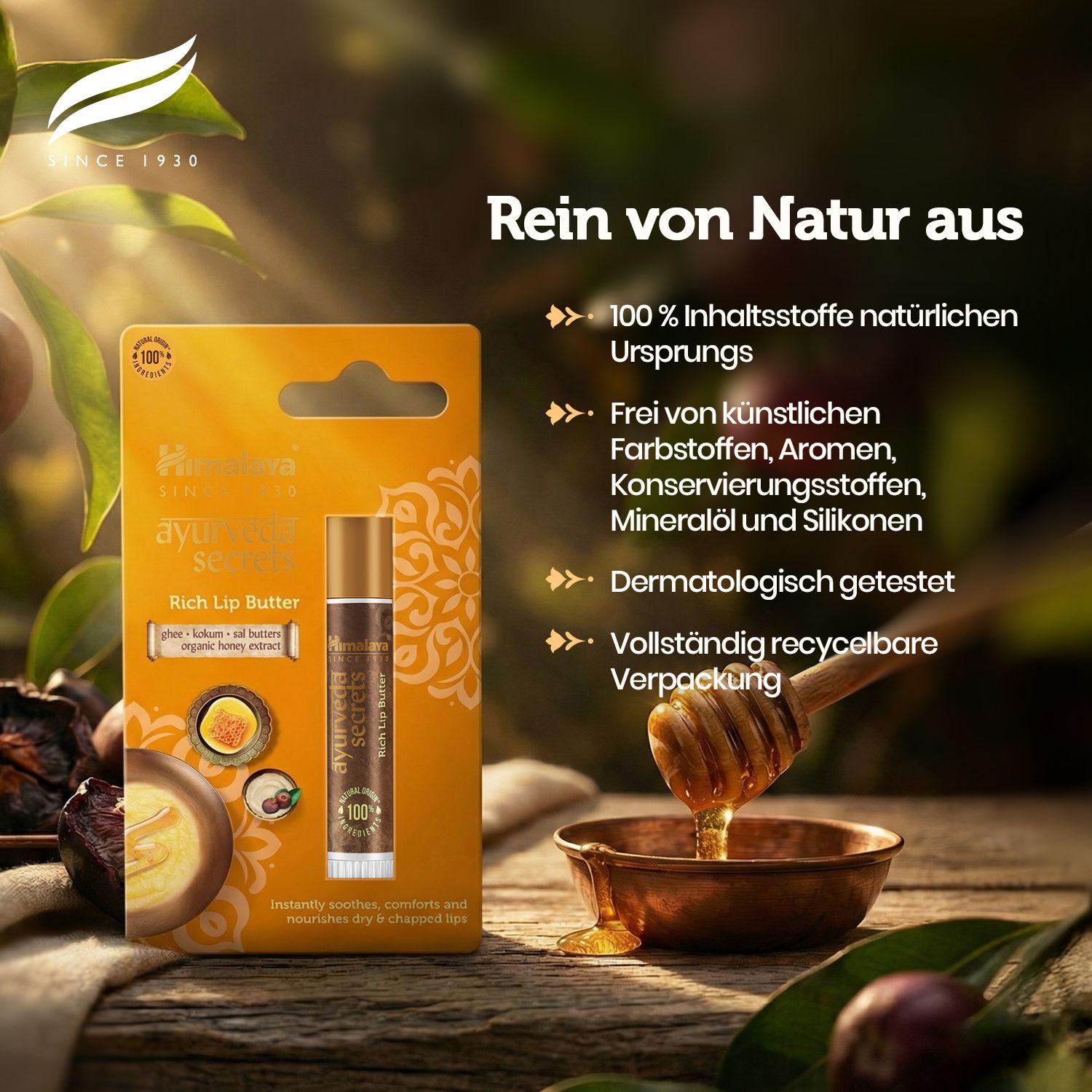 Confezione per Himalaya Rich Lip Butter con informazioni dettagliate sul prodotto e ingredienti naturali.