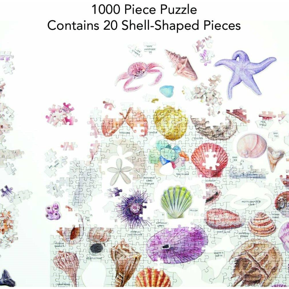 galison Puzzle Tesori della spiaggia 1000 pezzi