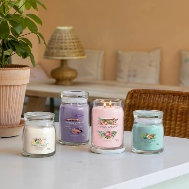 Quattro candele in vasi su un tavolo. Scritte: Yankee Candle. Diversi colori e design. Ambiente: tavolo, piante.