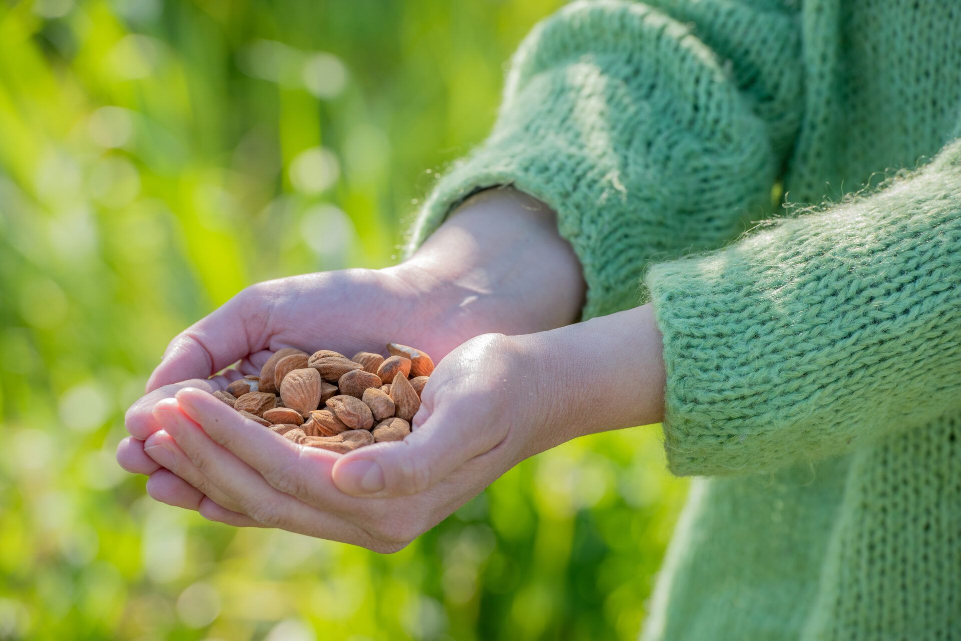 Terradiva crema spalmabile di mandorle sgusciate biologiche