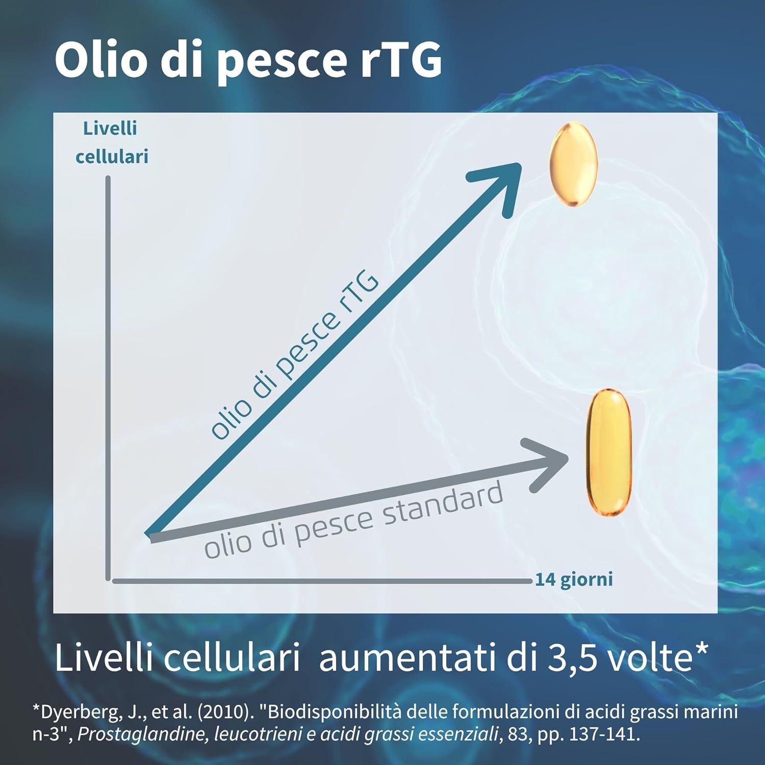 Grafico con olio di pesce rTG. Valori cellulari aumentati. 3,5 volte di più. Testo: Olio di pesce rTG, olio di pesce standard.