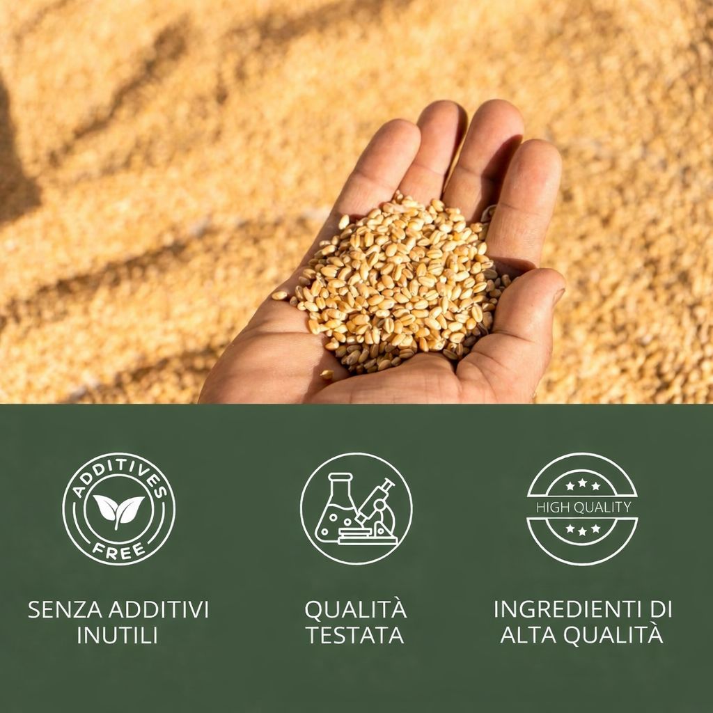 Mano con chicchi di grano. Testo: Senza additivi, qualità testata, ingredienti di alta qualità.