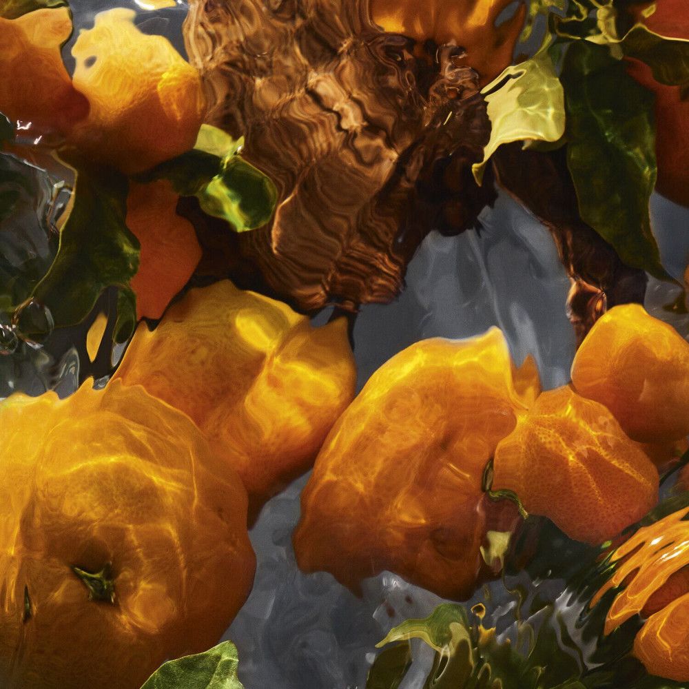 Primo piano di arance e foglie in acqua. Superficie riflettente. Colori e trame naturali.