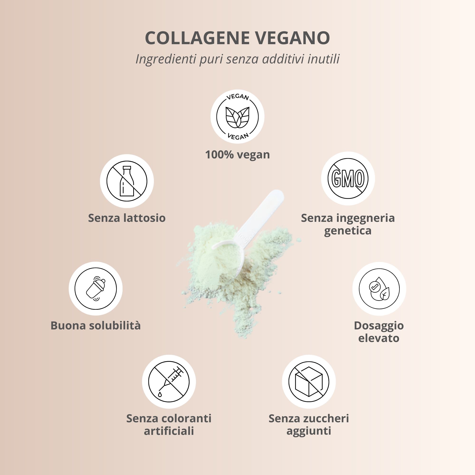 Grafico: 100% vegano, senza lattosio, senza OGM, senza zuccheri aggiunti, senza coloranti artificiali. Polvere.