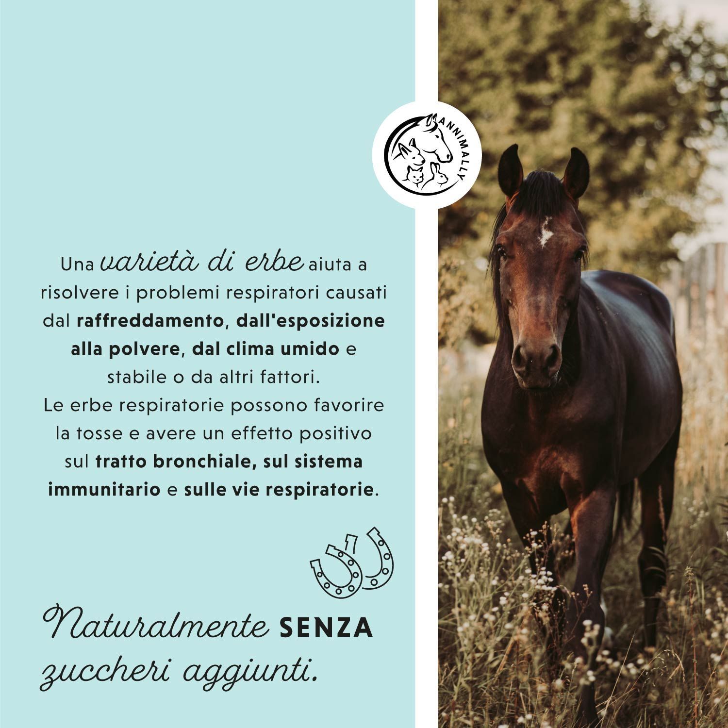 Cavallo in un campo. Testo: Una varietà di erbe aiuta i problemi respiratori. Naturalmente senza zuccheri aggiunti.
