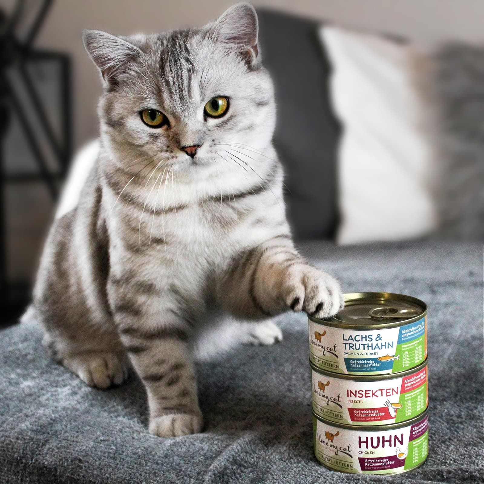 Nome: I love my cat cibo umido per gatti con insetti