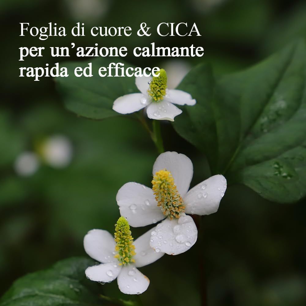 Primo piano di fiori bianchi con centri gialli e foglie verdi. Testo: Foglia di cuore & CICA per un'azione calmante rapida ed efficace.