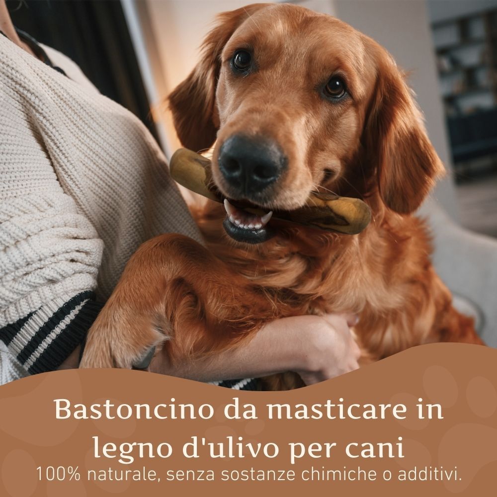 Cane con bastoncino masticabile in legno d'ulivo in bocca. Testo: 100% naturale, senza sostanze chimiche o additivi. Logo: WILDFANG.