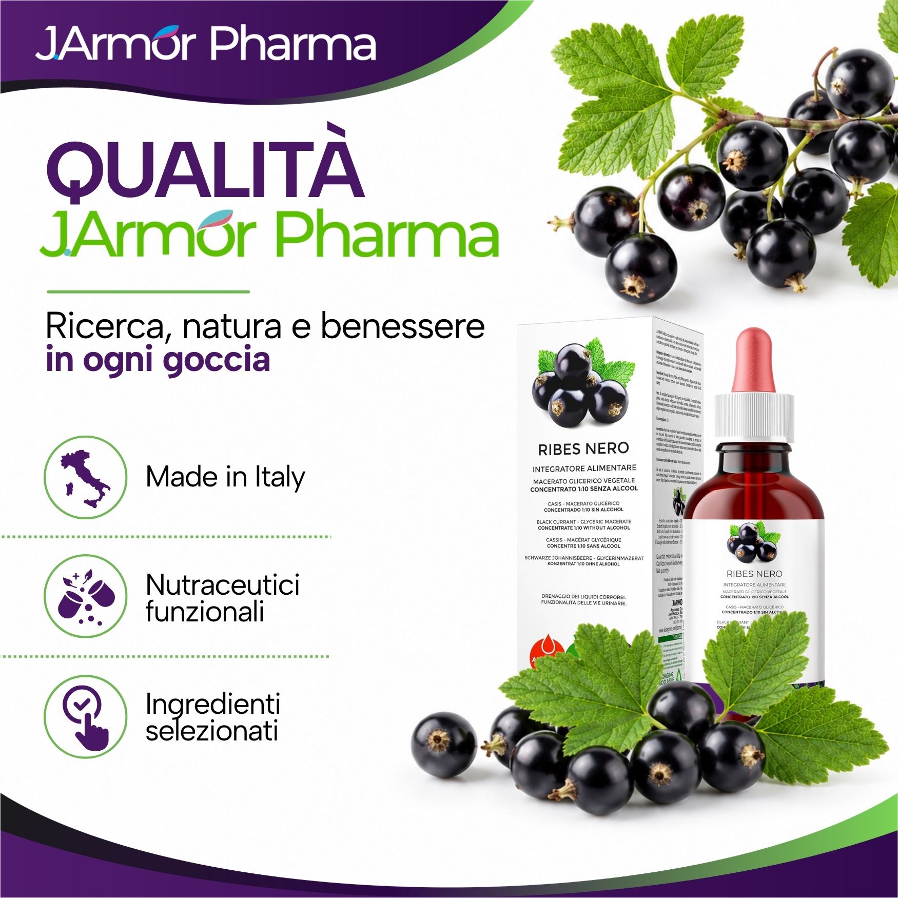 Flacone e scatola di gocce di ribes nero, con bacche e foglie.