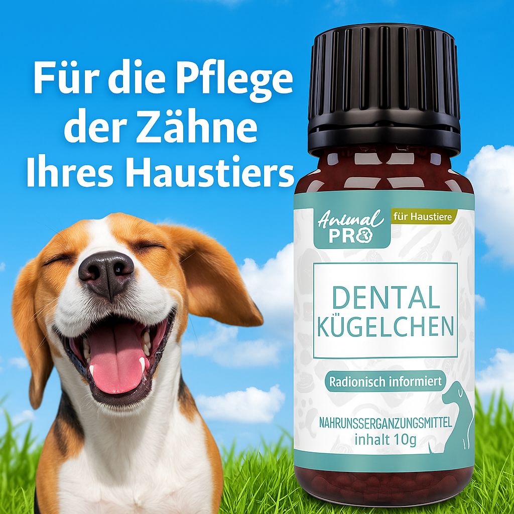 Flaconcino Animal Pro Dental Kügelchen accanto a un cane sorridente.