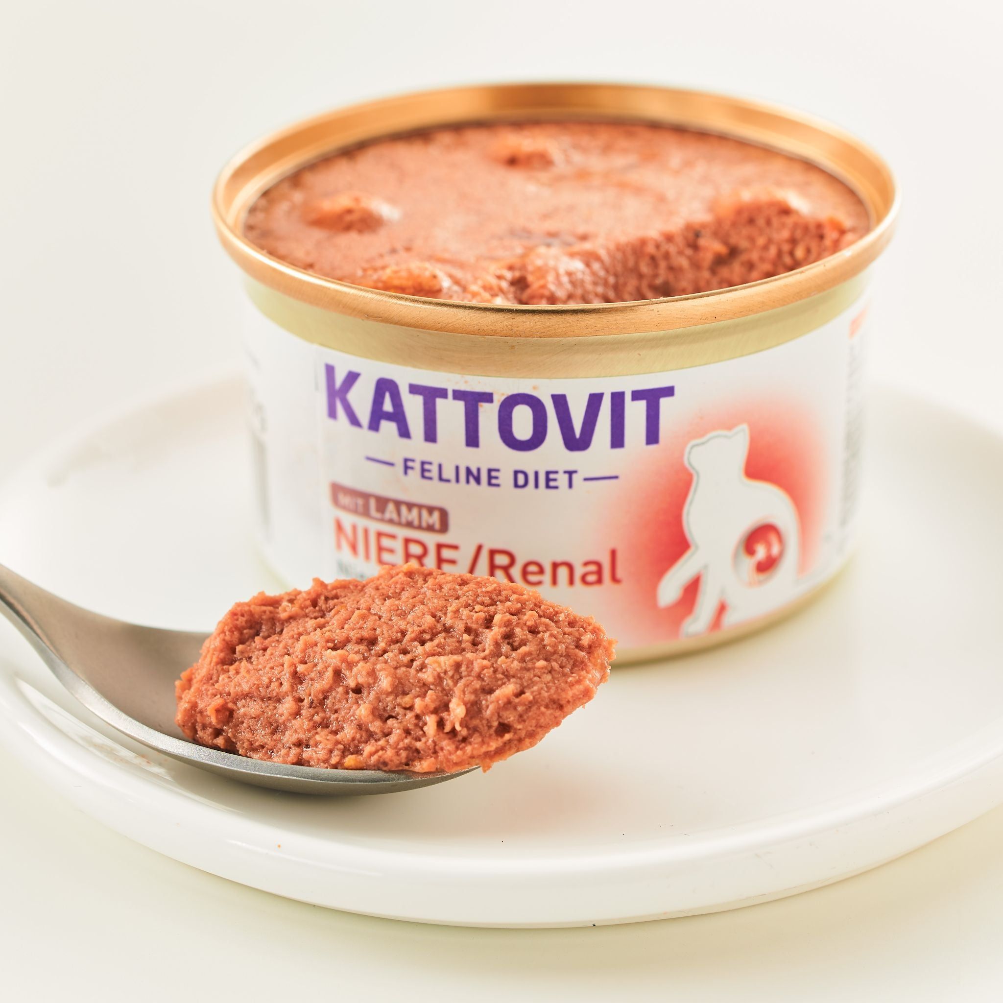 Cibo umido Kattovit Niere/Renal Lamm su un piatto con cucchiaio. Lattina con etichetta e nome del prodotto. Cucchiaio con cibo.