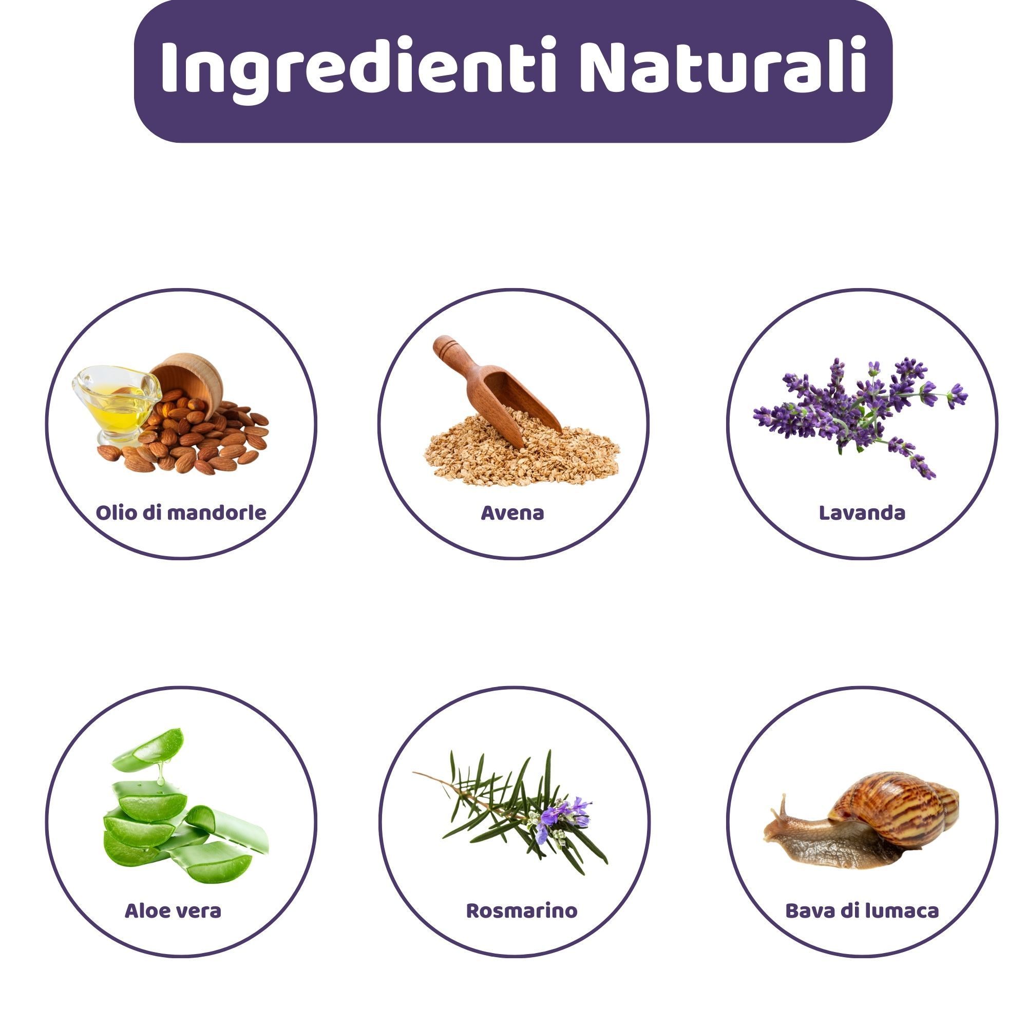 Illustrazioni circolari degli ingredienti: Olio di mandorle, Avena, Lavanda, Aloe vera, Rosmarino, Bava di lumaca. Titolo: Ingredienti naturali.