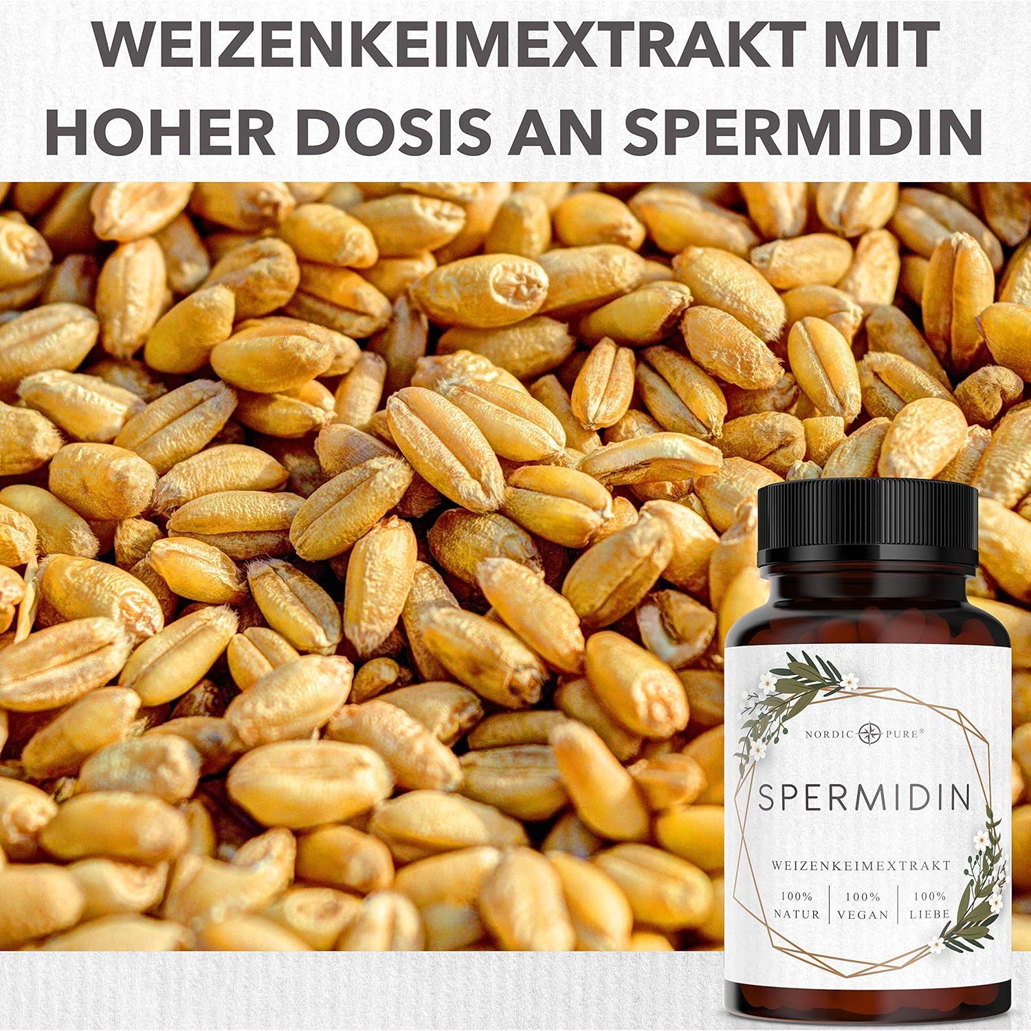 Grani di grano e flacone di capsule di spermidina. Testo: Estratto di germe di grano con alta dose di spermidina.