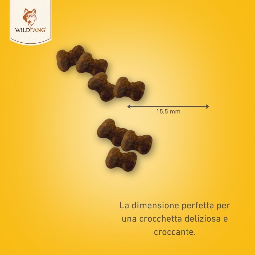 Crocchette per cani a forma di osso, 15,5 mm. Sfondo giallo. Testo: La dimensione perfetta per una crocchetta deliziosa e croccante.
