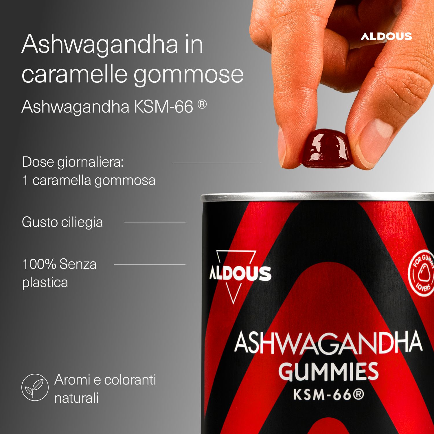 Aldous - Ashwagandha Gummies - Antistress, Relax
