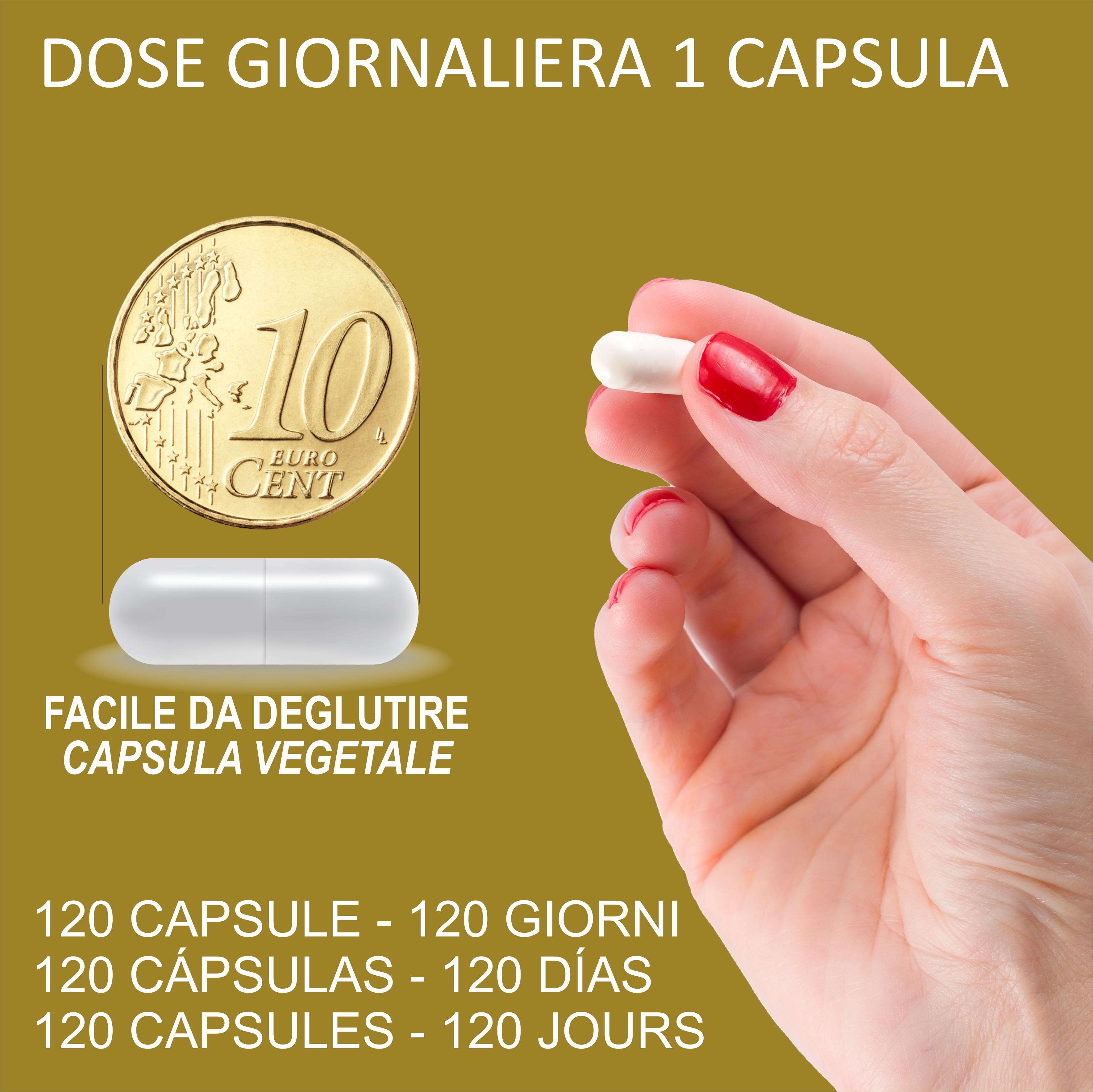 Mano che tiene una capsula accanto a una moneta da 10 centesimi. Testo: Dose giornaliera 1 capsula. Facile da deglutire. 120 capsule - 120 giorni.