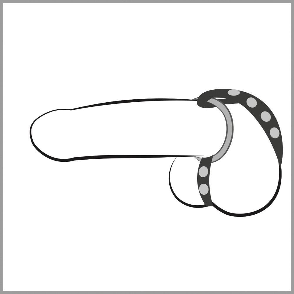 Illustrazione in bianco e nero di un pene con un cinturino in pelle e un anello metallico.