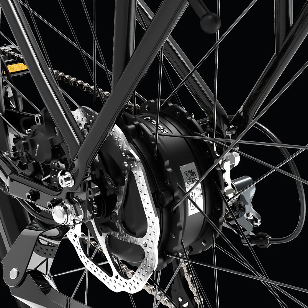 Ruota posteriore di una e-bike con motore e freno a disco. La catena e il pignone sono visibili.