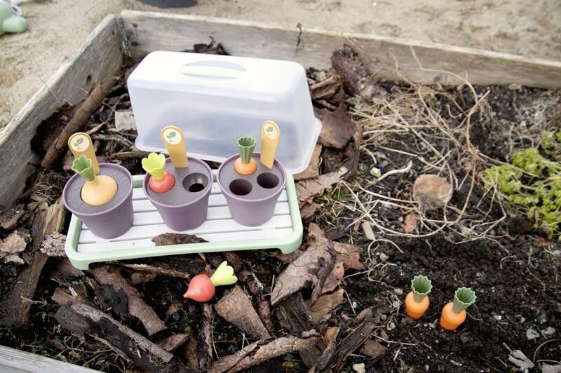 Mini serra da giardino in un'aiuola. Include vasi con verdure, vassoio e coperchio. Carote e ravanelli.