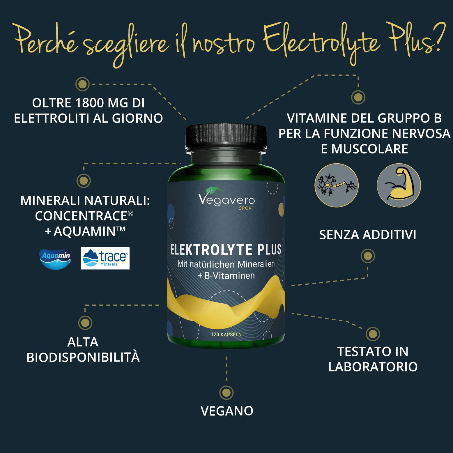 VEGAVERO Elettroliti Complex
