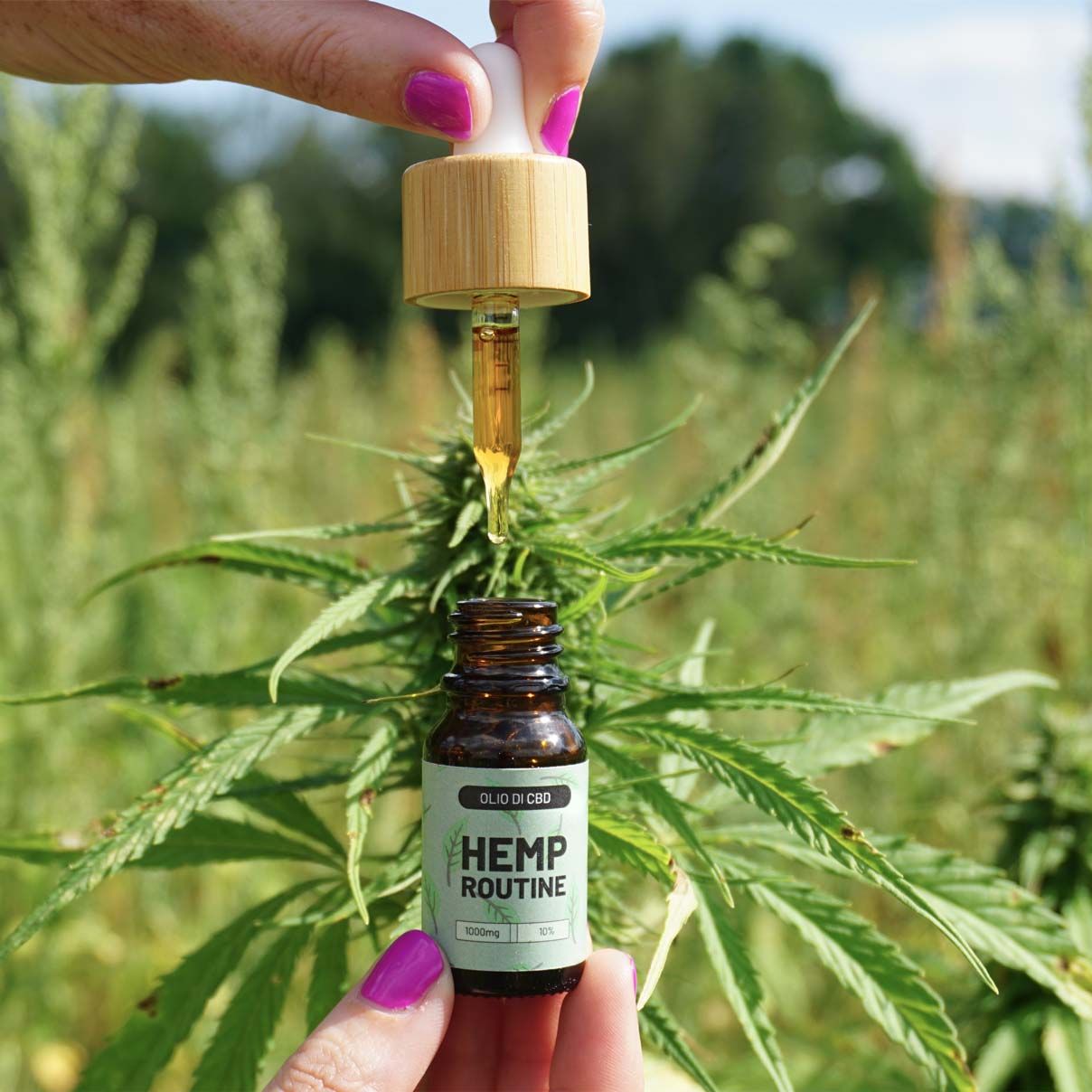 Olio di CBD a spettro completo 10%