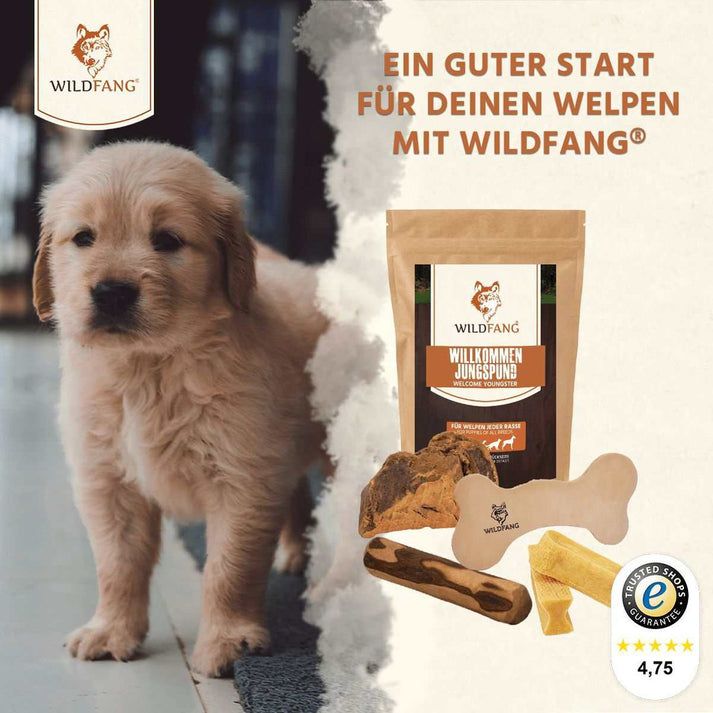 Cucciolo con prodotti WILDFANG®. Contiene masticabili, ossa e una confezione con testo.