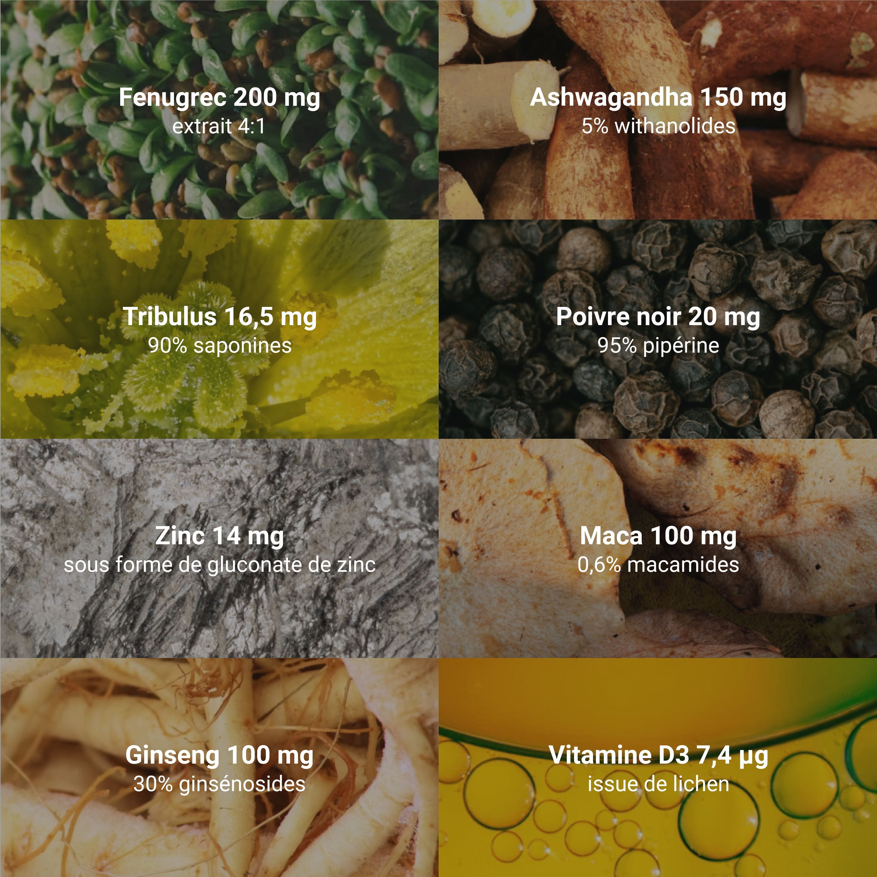 Collage di ingredienti: fieno greco, ashwagandha, tribulus, pepe nero, zinco, maca, ginseng, vitamina D3.