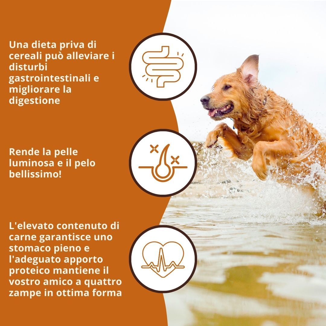 Illustrazioni con testo. Temi: digestione, pelle, cuore. Cane in acqua.